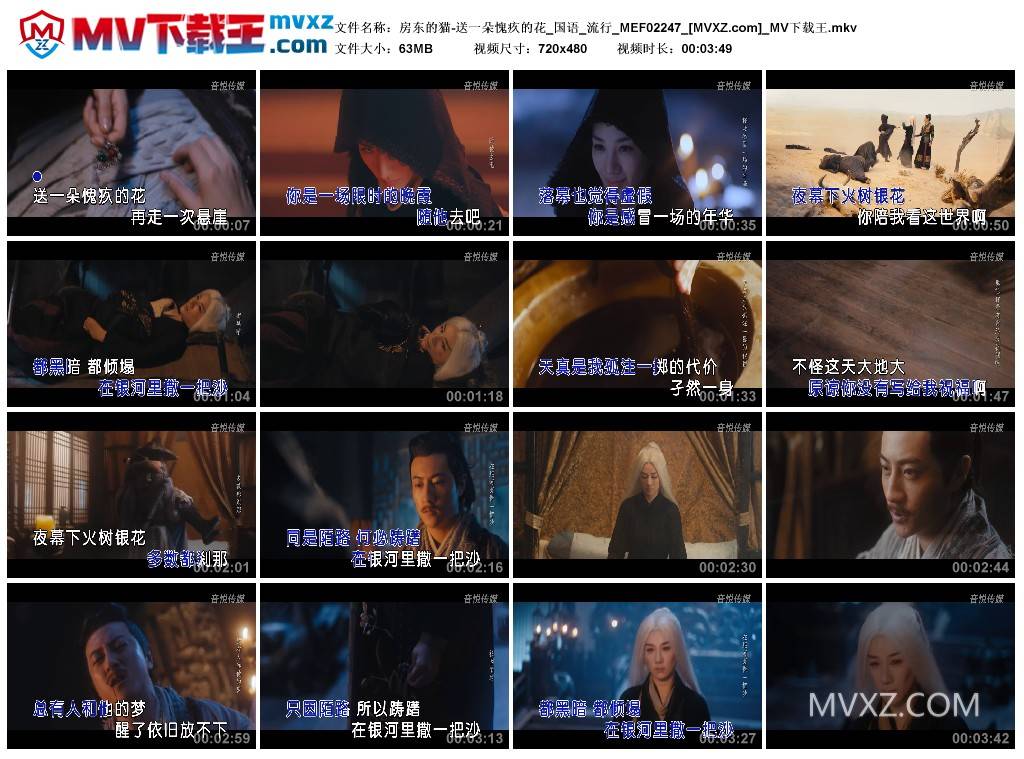 房东的猫-送一朵愧疚的花_国语_流行_MEF02247